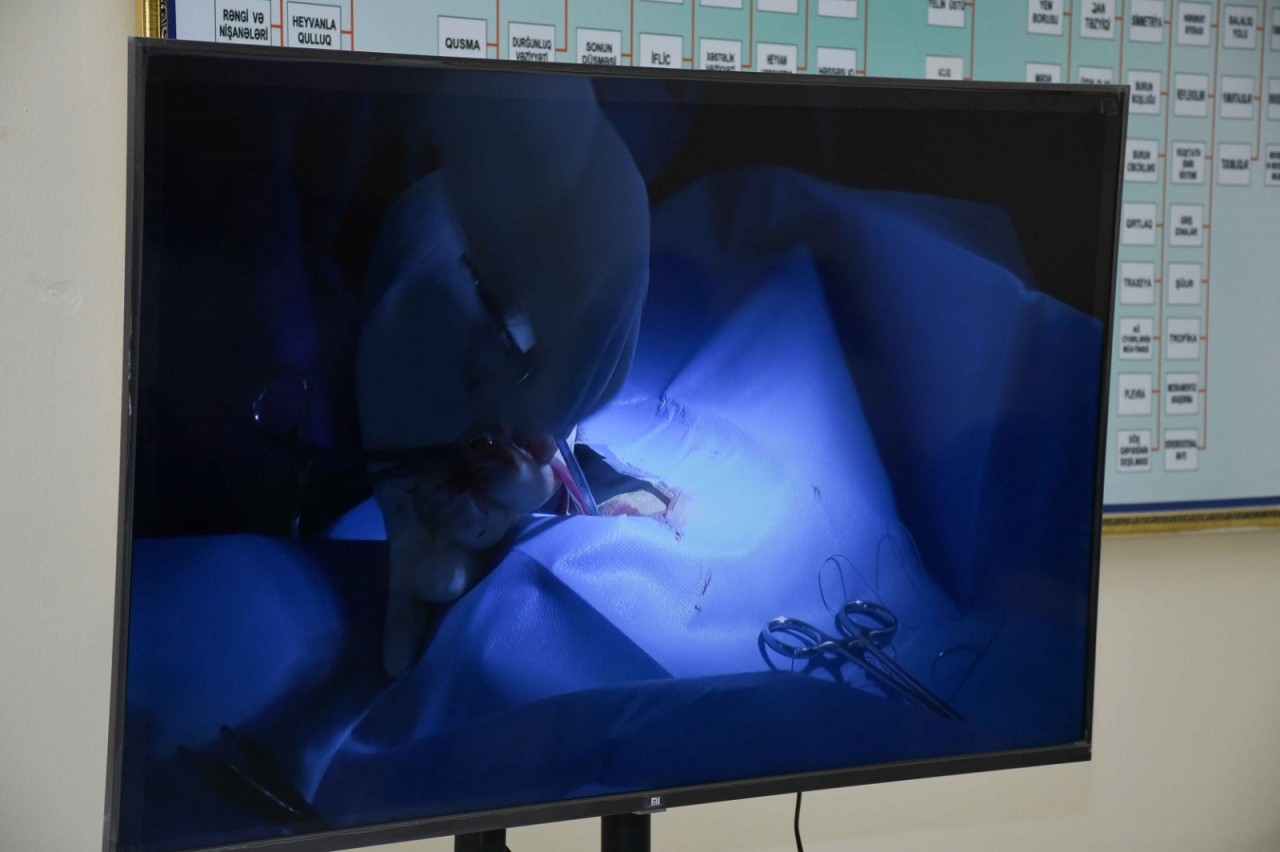 Türkiyənin Azərbaycandakı səfirliyinin təhsil müşaviri ADAU-da olub - FOTOLAR